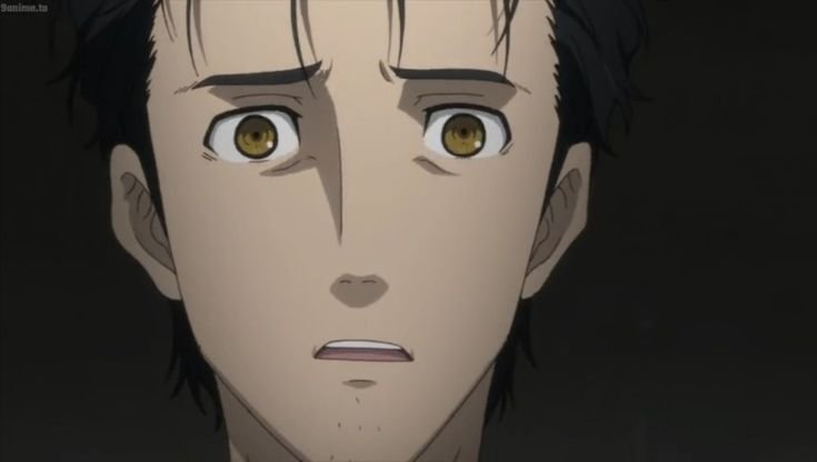 How Old Is Oikawa Tooru in Steins Gate?